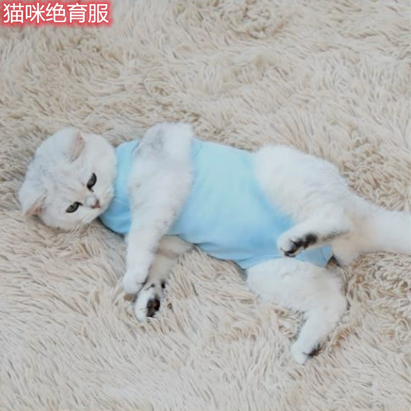 Производители напрямую поставляют новые домашние кошки и кошки одежда для кошек после операции
