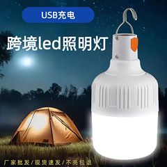 摆摊夜市灯不插电超亮长续航led地摊灯跨境商超户外露营灯泡挂灯