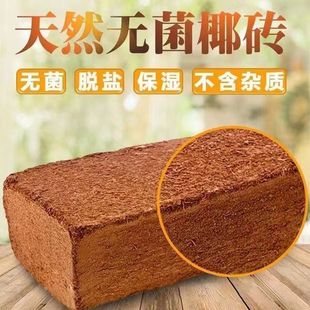 СҬ�u���ݰl�I�B���B�����s�I�B��ͨ���͟o�}Ҭ���N���N��Ҭ�u��