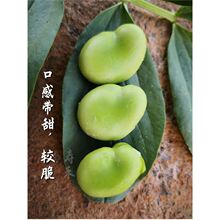 �������Ǵ��Q���N�ѷN���ش�߮a�r���߲˴�ȫ�����ձ����R�ݲ���