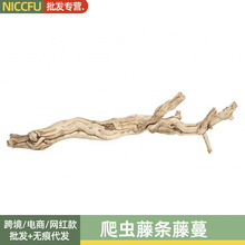 NC�Ꭷ���������쾰�ز��ٗl�������x�m�쾰�÷����ٗl�����侰�^