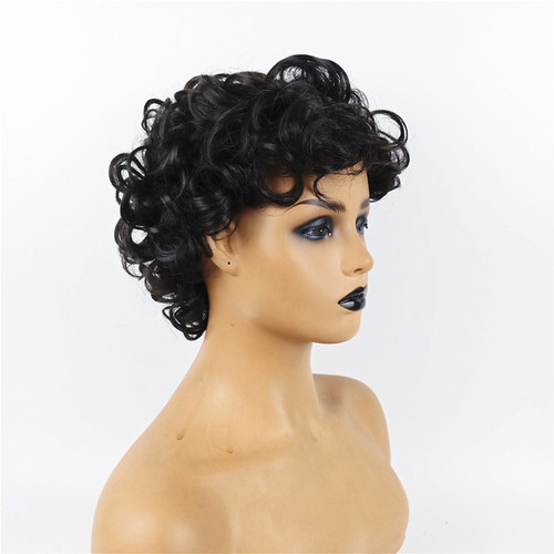 Wigs Women's Short Curly Afro Explosion Hair Small Curl Cross-border Foreign Trade Fashion Synthetic Headwear Dropshipping Supported