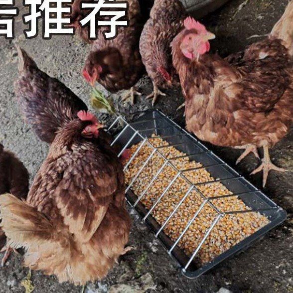 Tanque de alimentación para la crianza de la gallina, tanque de alimentación rectangular, tanque de alimentación de plástico, tanque de agua potable, productos de crianza de la gallina