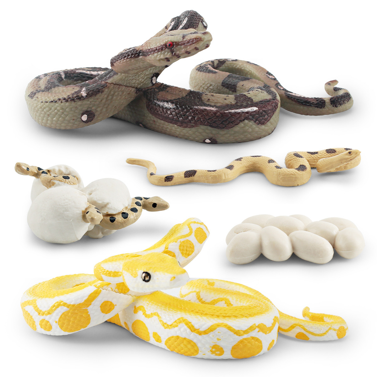 Simulación transfronteriza bosque animal Python modelo de ciclo de crecimiento Birmano Python ciruela flor Python proceso de crecimiento decoración juguete