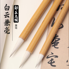 �u�Ĺ��wë�P��논���������S�����С���W�߇���С������ë�P