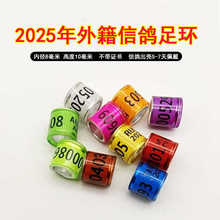 ���ӽŻ�2025�겻��֤��������ӻ��Ÿ��㻷�뻷�Ǻ���Ʒ�þ߸��