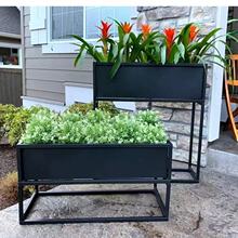 ���Ƒ����Fˇ���� �����̘I���ۘǲ��V�����۸��ಽ�н���[�M��