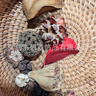 �ɹ��ɻ�diy������Ȼֲ���L��ľɏ����ᔻ�ľƬ���Ě��ɹ����l