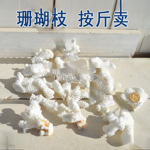 ��Ȼɺ��ʯ����ؐ����ɺ����֦�~�׵ײ��b�䁵׵�̨�b�����