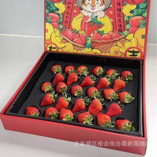 Strawberry Sponge Packaging/Strawberry Buffer Sponge Packaging/Strawberry Loss Prevention Sponge Packaging Strawberry Sponge Lining