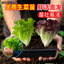�������������玧��������_�Rˮ�ஔ���߮a�̨�Nֲ�߲�ֲ������