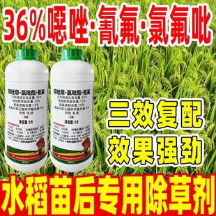 ����36%�f������ȷ��� ˮ������ó��݄� ��Ʒ�rș�F؛���l