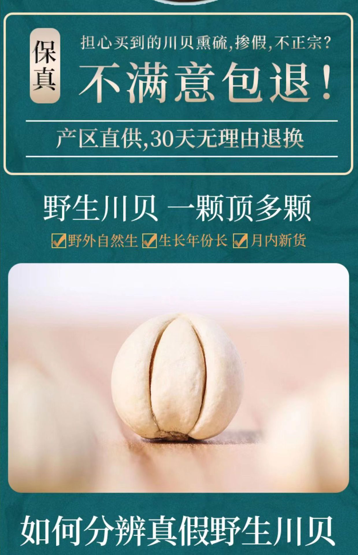 Sichuan Chuan Bei Mu Fritillaria Dried Bulbs 100g Traditional Chinese Herb for Decoction and Herbal Soup overview