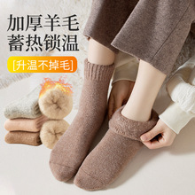 女士冬季抗寒保暖羊毛绒中筒袜加厚毛圈袜5A抗菌消臭居家地板袜