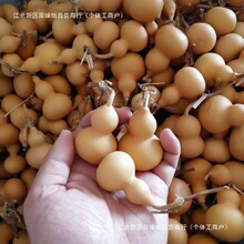 ���a��ֱ�l���ĳǺ��J������Ȼͨ؛����[���ְѼ���ؔ����С���J