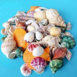 ���ؐ����ˮ���^һ��Ư��ƿؐ��Ӱ΢���^��Сë�Ҿ�ƿ�~��