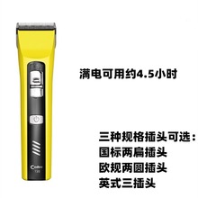 �Ƶ�ʿ��Ƽ􌣘I�l��T20���^�l����늄����^��������l���ꌣ��