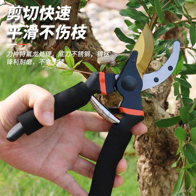 园林修枝剪便携式多功能果枝剪大号手动嫁接剪刀省力修果树粗枝剪|undefined