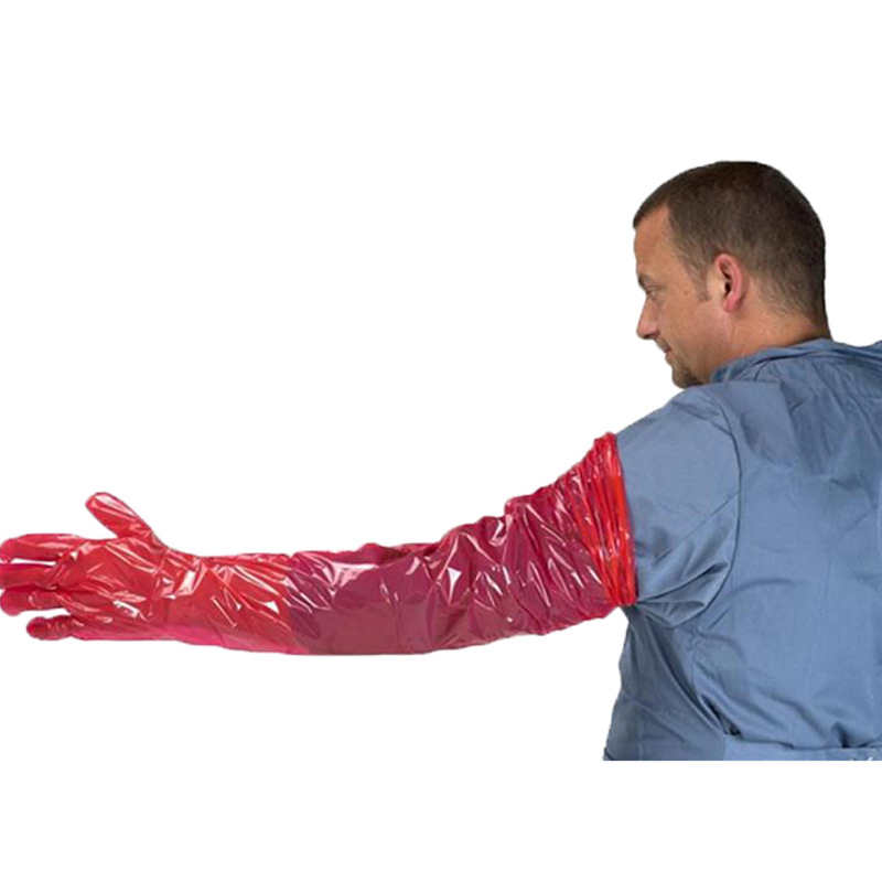 一次性长臂手套直肠触诊母牛产科检查LDPE长手套E