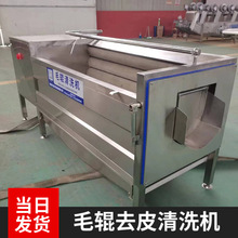 ����ָ�ë݁��ϴ�C Ҭ��ëˢ��ϴȥƤ�C ���P����ë݁��ϴ�O��