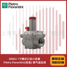 30063 1�����ƿھ� С���� Pietro Fiorentini(�ư�) ȼ����ѹ��