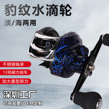 渔具筏钓海钓路亚渔轮金属远投防炸线磁力刹车鱼鳞路亚水滴轮