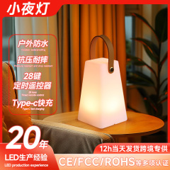 新型キャンプの屋外雰囲気が光る小夜灯家庭用テーブルランプType-c快充便利手提げ小夜灯