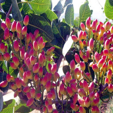 �޽��_�Ĺ������ϱ����Y�������ӾG���_�Ĺ������Ե����_�Ĺ���