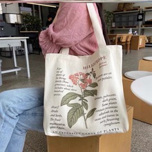 帆布包女单肩日系原宿ulzzang可爱软妹学生潮布袋包女帆布袋ins