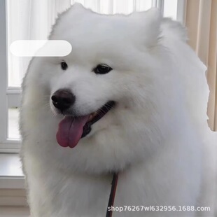 ���N�ܰ��_ĦҮѩ��Ȯ��Ȯ���w���ﹷ������Ȯ�o�lȮ��ͥ��HȮ