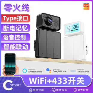 Graffiti Wifi Rf Wall Button 86 Switch Type-C Smart Home Timed Remote Control Light Remote Control Voice Control