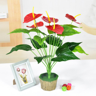 �S��ֱ�N����t��18�^5��6���ָоGֲ�ٻ��Ҿ��b�ֲ��@���쾰