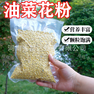 ��Ȼ�仨���۷仨���s���ۻ����B���з䌣�÷�Z�����w���۷����