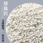 膨胀硬质种植无尘兰花