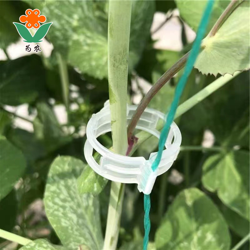 优质植物夹塑料绑蔓夹绑枝夹吊蔓夹扶蔓夹西红柿夹藤蔓固定夹