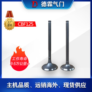 标准化气门组_2026夏季高温专用批发厂家直销