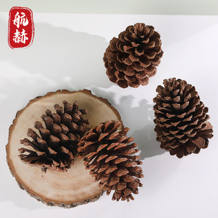 DIY�ֹ����������ɹ������ɻ��}�Qѩ�ɹ��b�Ʒ�����ɻ��������l