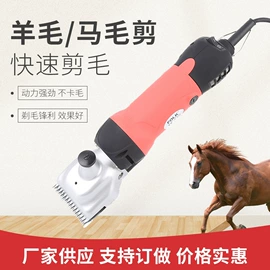 电剪刀;刀片;宠物电推剪