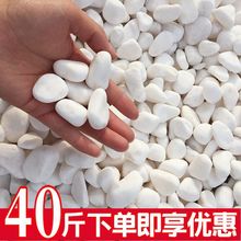 120��С��ʯ���Z��ʯԭʯ�������ʯ�@ˇͥԺ�쾰����׹��S���l