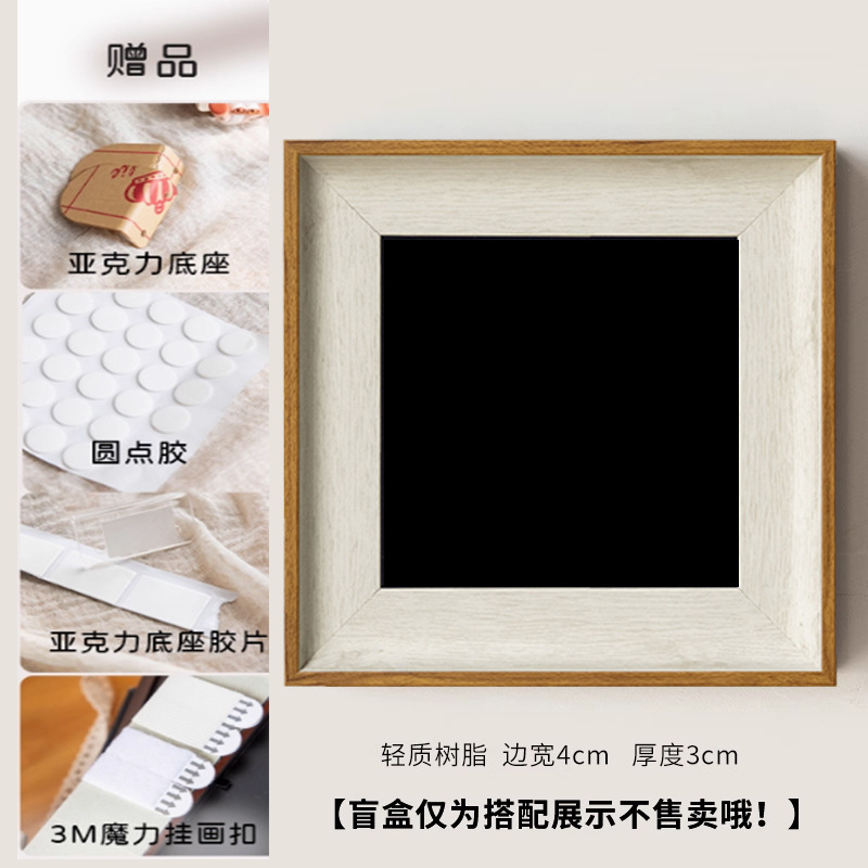 空气凤梨装饰画盲盒展示相框手办收纳客厅墙面装饰办公室植物相框|undefined