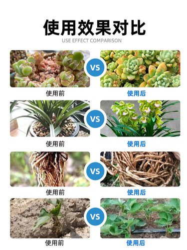 Plant Vitality Pot Plant Gardening Vitality Natural Nutrient Solution Plant General Type Root Promoting Flowering Fairy Water