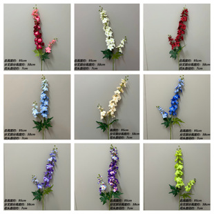 �`���w��ϼ����滨ǧ�����w��С�w�����⾰�^��Y�����쾰