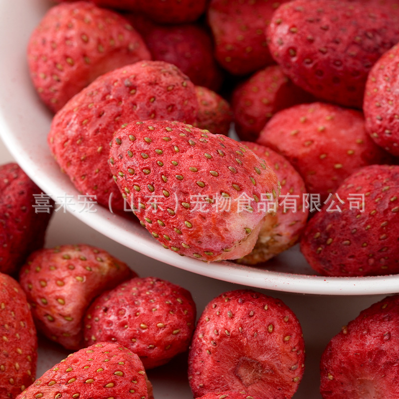 Pet FD strawberry freeze-dried fruit cat snacks mixed with food…