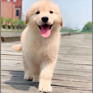 ���N���w��ëȮ��Ȯ���������oԺ�տ���������Ȯ