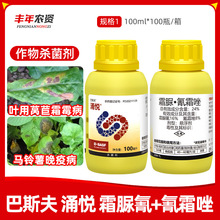 ��˹��ӿ��24%˪����˪���R������߲�����˪ù�����o�ί�������