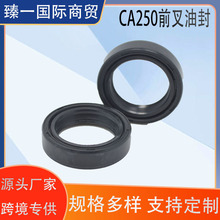 �m��춱���CA250�p��Ħ��܇�p���Ǽ�ǰ���ͷ�����ǰ�挦��2�����b