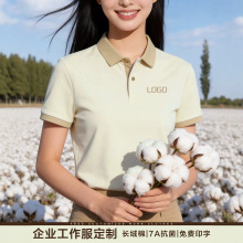 �L�q��Polo��������logo��I�V���Ļ�����������ώ����bt��