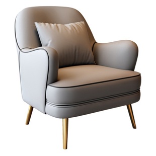 Nordic Single Sofa Home Living Room Small Apartment Leisure Chair Sales Department Business Negotiation Hotel Reception Sofa Chair