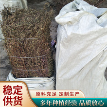 整株福建仙草凉粉干草 19kg装高胶无土凉粉草干 龟苓膏黑凉粉草干