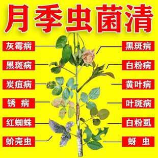 �¼����x������ș�Nޱõ���m���¼����ΰ׷۲��ڰ��S�~��șͨ��